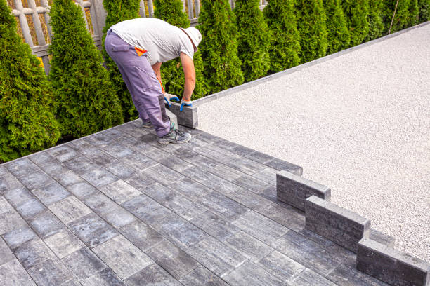 Best Decorative Driveway Pavers  in Foley, MN