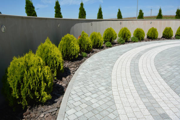 Best Driveway Pavers Near Me  in Foley, MN